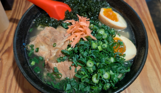 「ソーキそば」が食べたくなって 「ハモニカ・クイナ」で全部のせの「特製そば」を「ねぎ増し」でいただきました