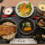 東急百貨店 9階「江戸前うなぎ かわ祥」で「うな重」にサラダ、茶碗蒸し、小鉢に甘味も付く「レディースセット」を堪能